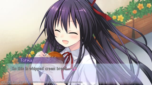 Date A Live Rio Reincarnation
