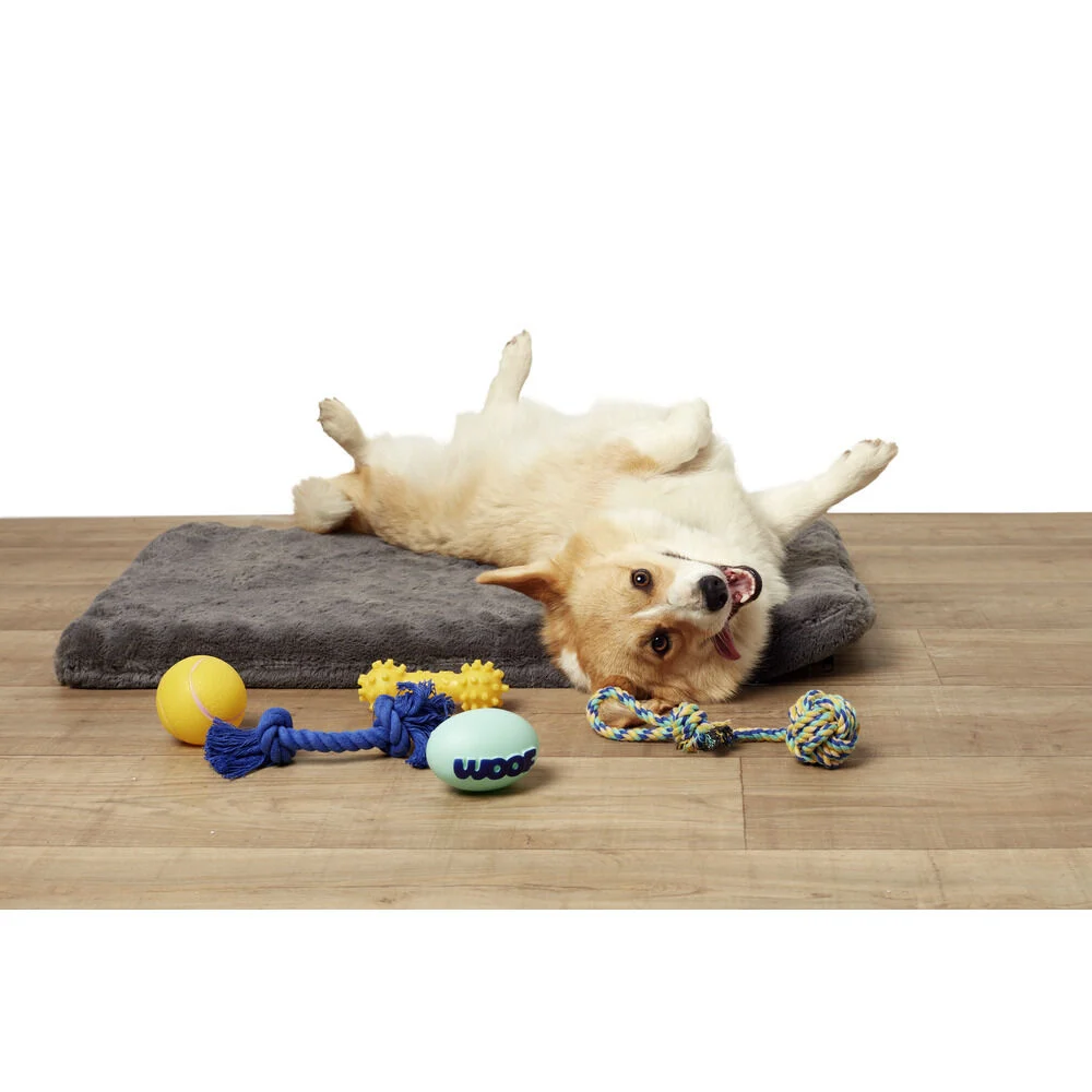 Jouet pour chien x5