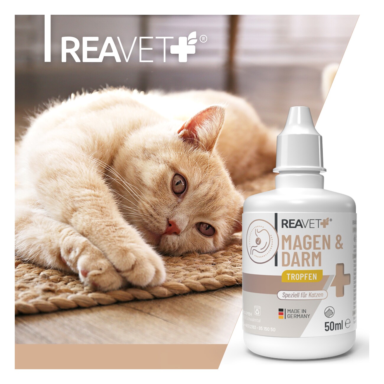 REAVET Magen & Darm Tropfen Katzen 50ml