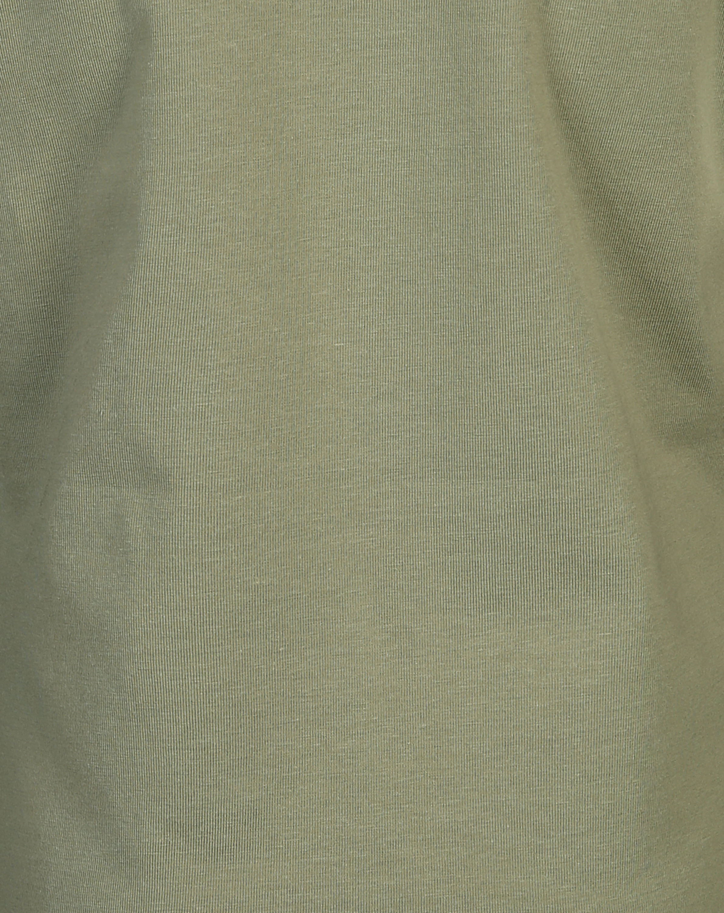 T-Shirt CARE ABOUT HORSES in cactus