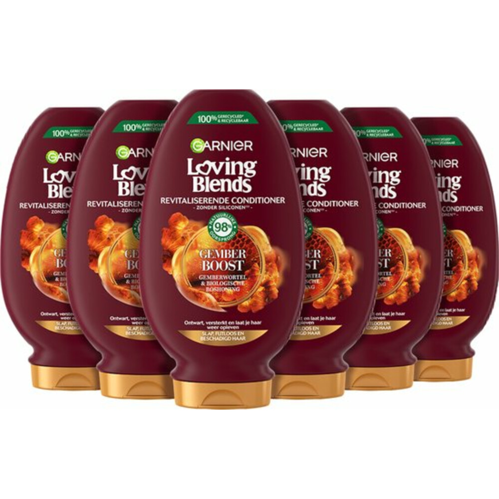 6x Garnier Loving Blends Gember Boost Conditioner250 ml
