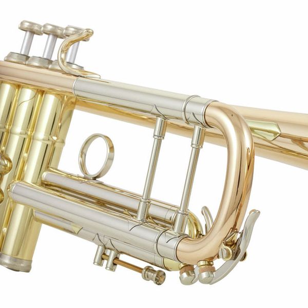 B&S 3137G-L Challenger I GM