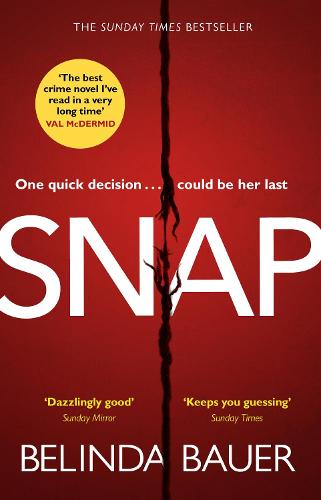 Snap (Paperback)