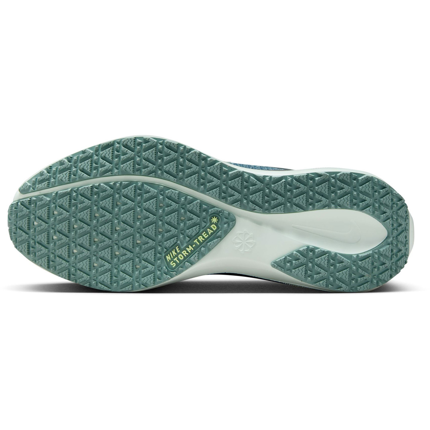 Nike Pegasus 41 GTX Dames