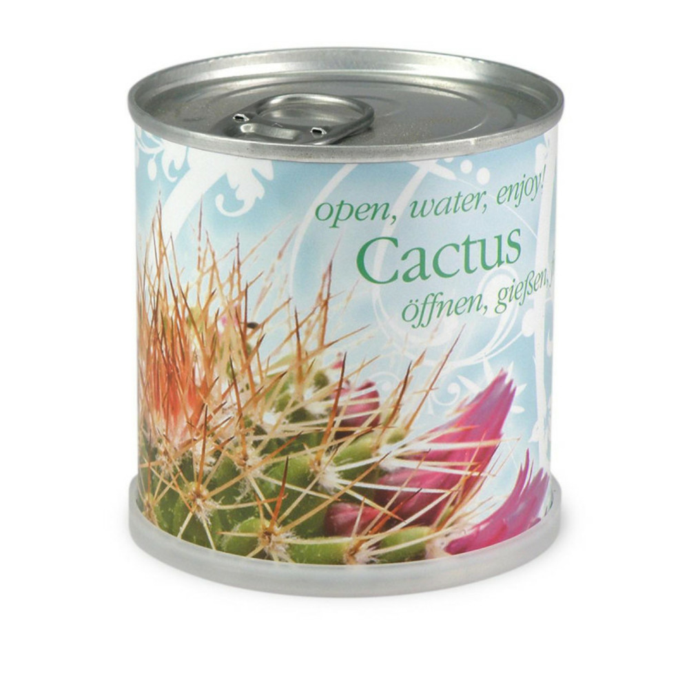 Cactus prêt à pousser en canette