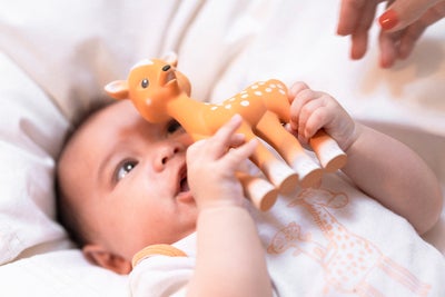 Sophie the Giraffe Rådyr Gavesett Koseklut, Brun