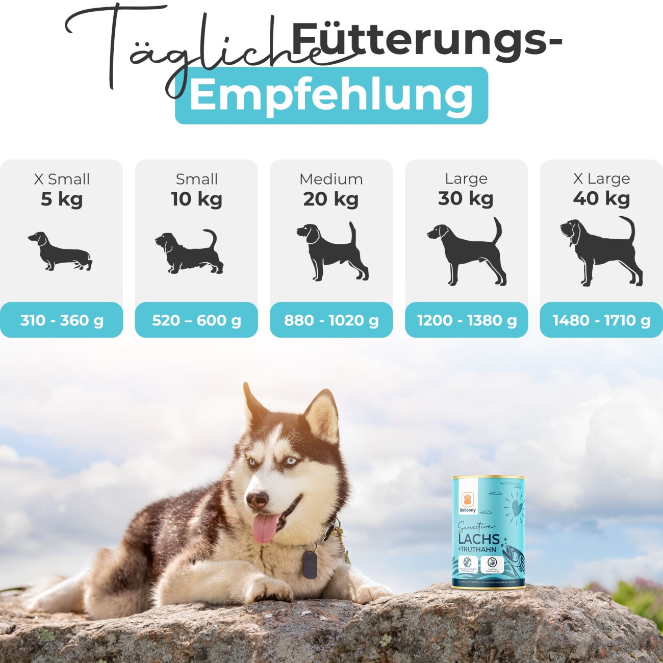 Balloony.pet Balloony Nassfutter Lachs
