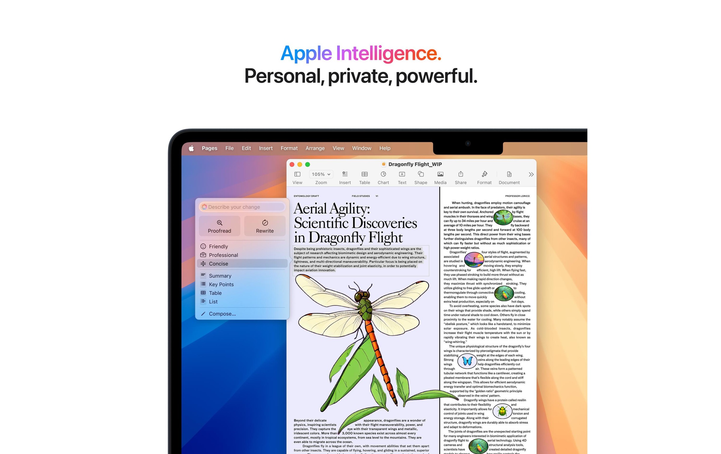 Apple Notebook »MacBook Air 13 2025 M4 10C GPU / 16 GB / 256 GB Midnight« 34,46 cm / 13,6 ″ Apple M4 10-Core GPU 256 GB SSD