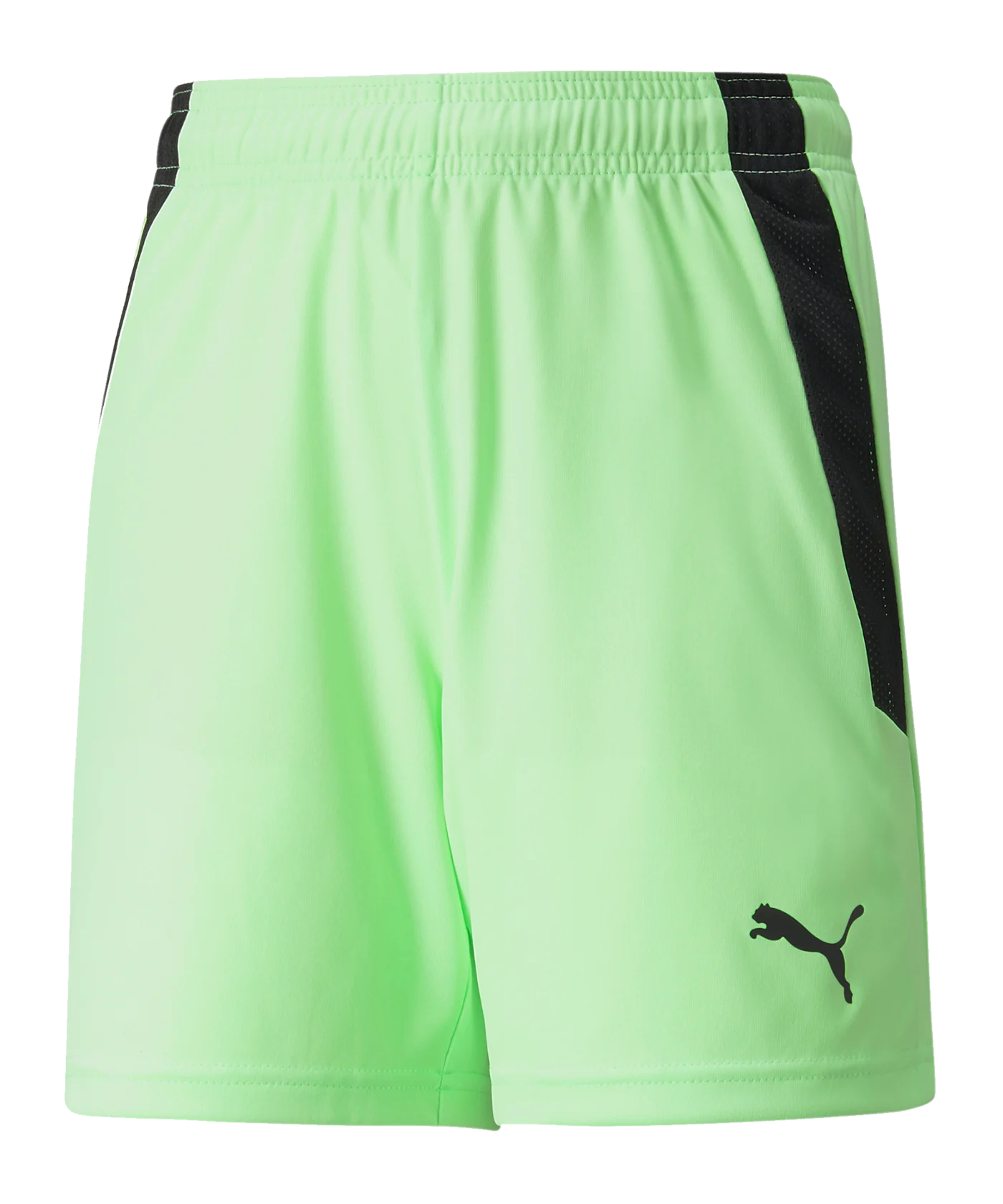 PUMA teamLIGA Short Kids Grün Schwarz F20