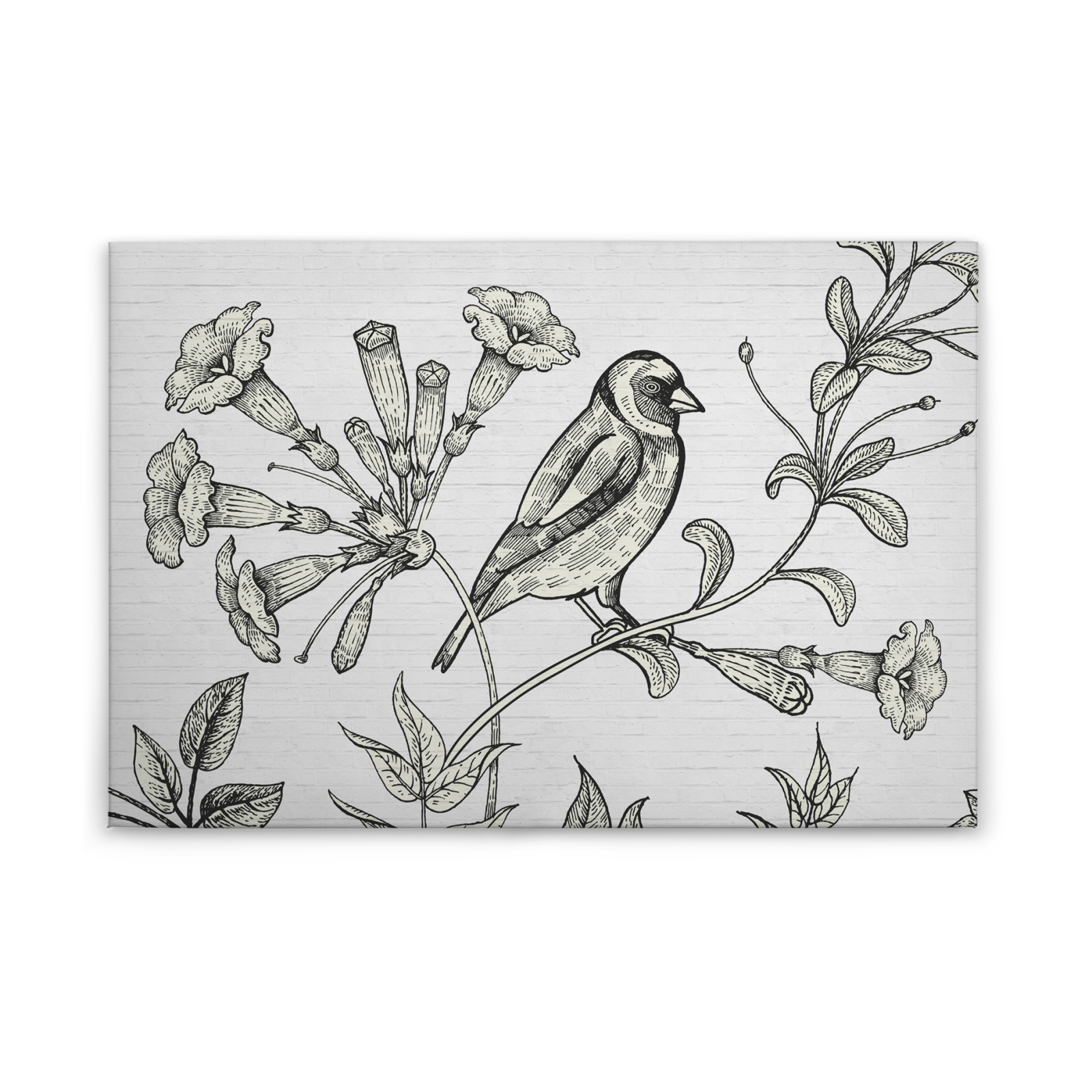 Leinwandbild VOGEL AUF BLUME 1 - schwarz-weiß - 90x60 cm