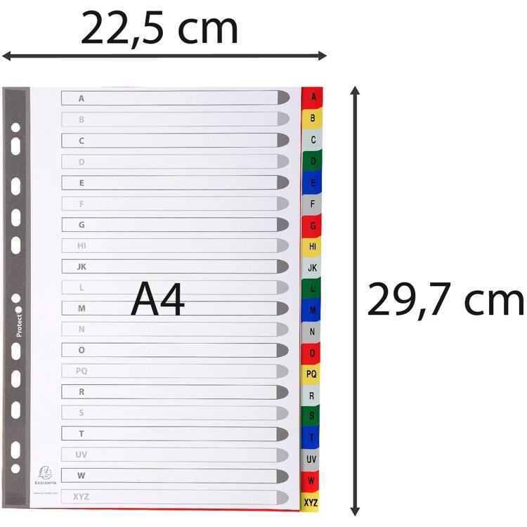 Intercalaires imprimés alphabétiques PP couleurs 12/100 AZ - A4 - Couleurs assorties
