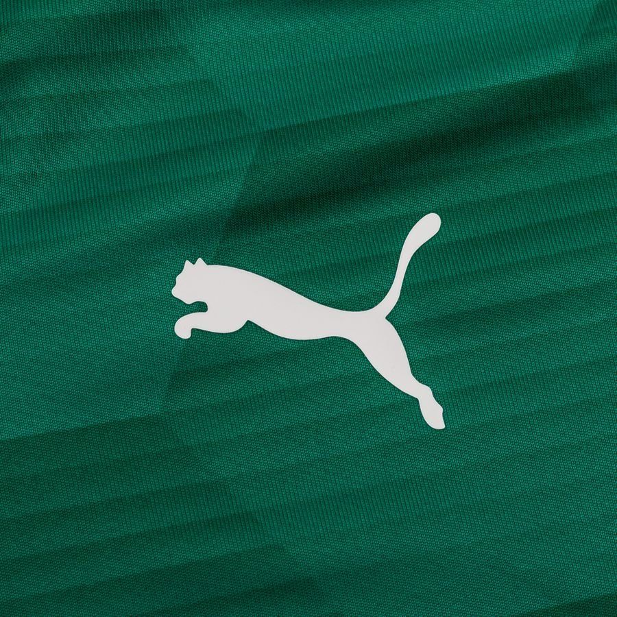 PUMA Maillot teamFINAL 21 Graphic - Vert/Vert Enfant
