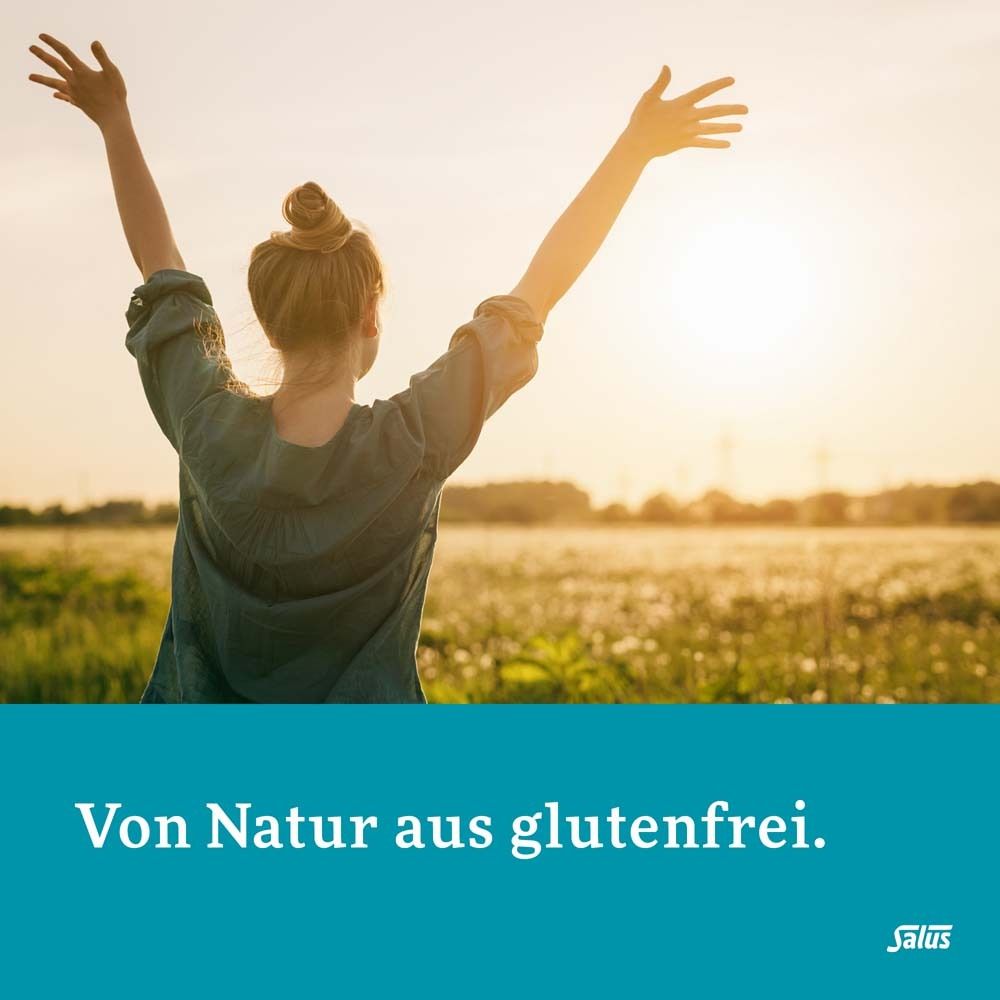 Salus® FREEBALANCE Goldrute-Kamille Tee Bio