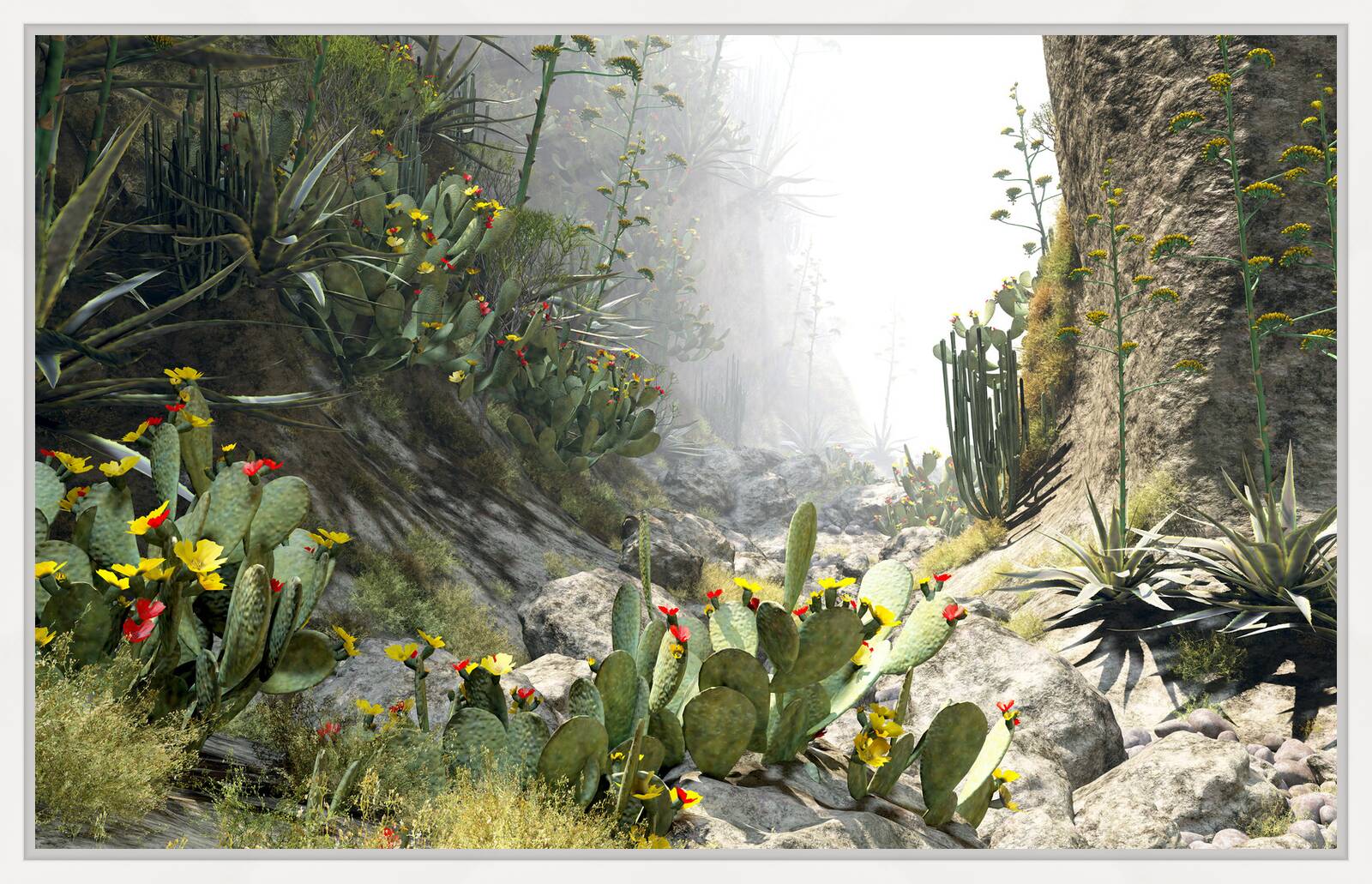 Barranco del Arena 37 by Gerhard Mantz - Limited Edition. Edition of: 100. Signed.