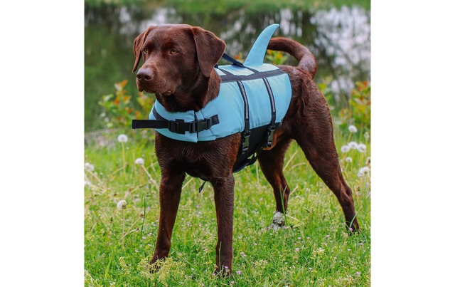 Nobby Hundeweste »Sharki XL, 45 cm, Blau«