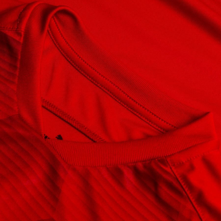 PUMA Maillot teamFINAL 21 Graphic - Rouge/Rouge Enfant
