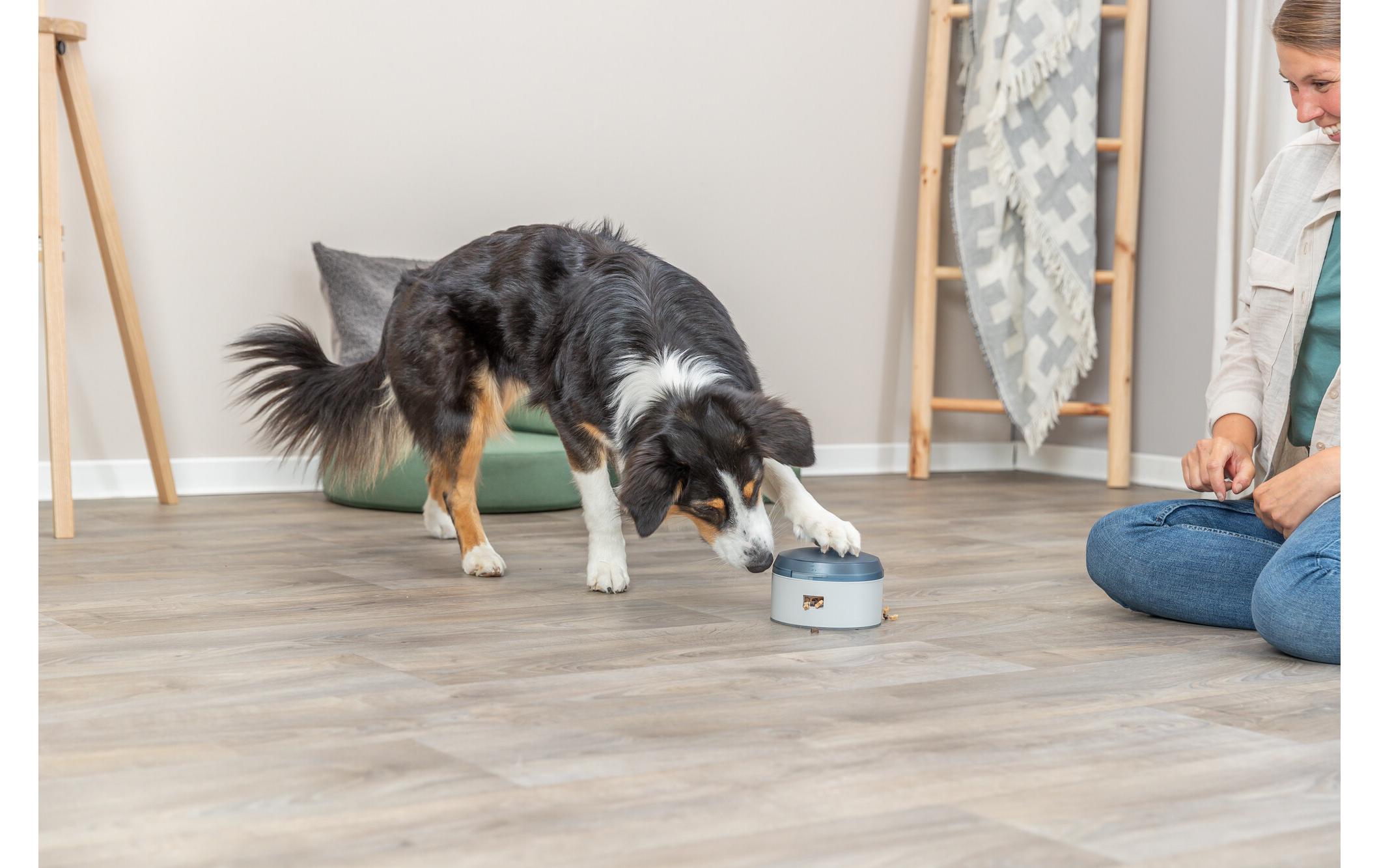 Dog Activity BuzzerHunde Spielzeug