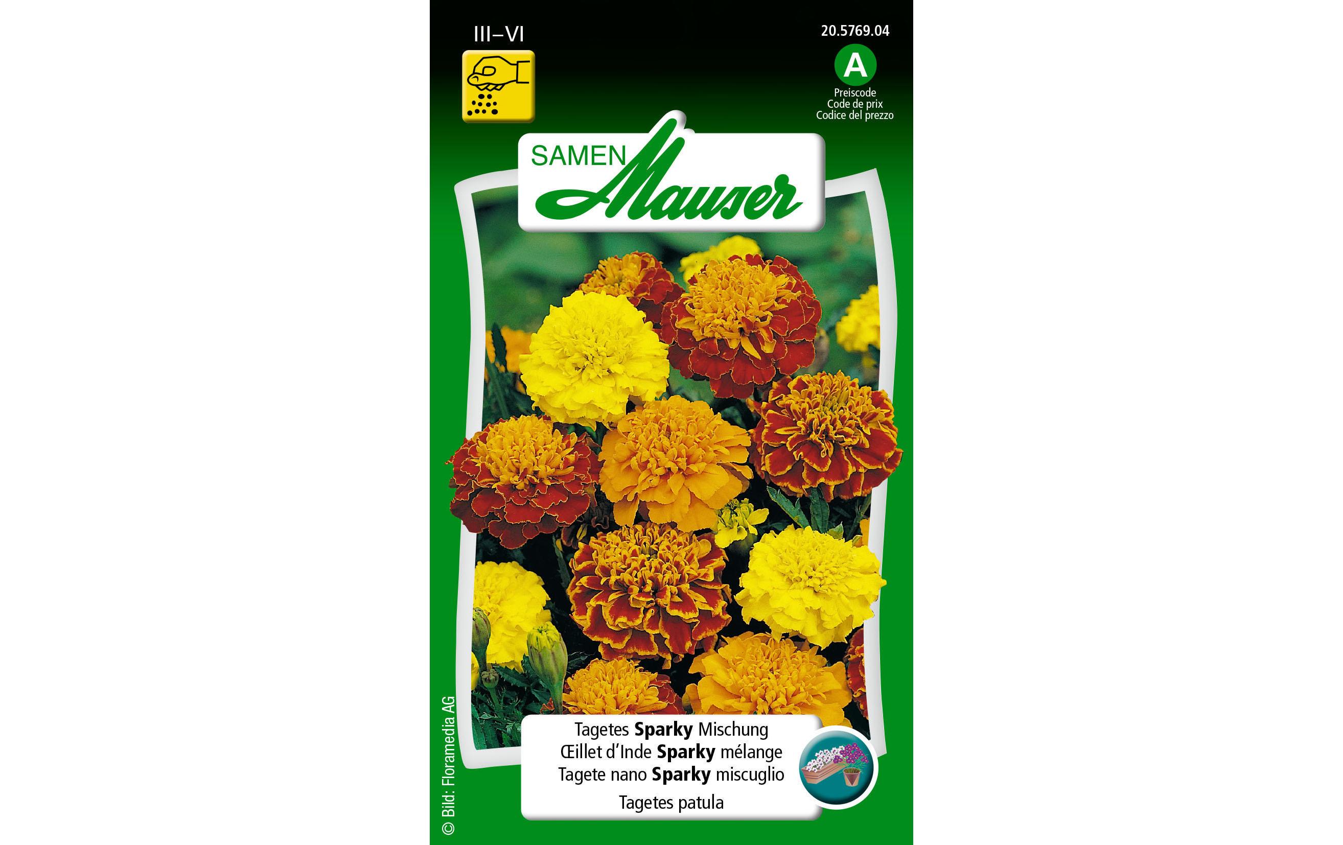Saatgut Tagetes Sparky MischungBlumensamen