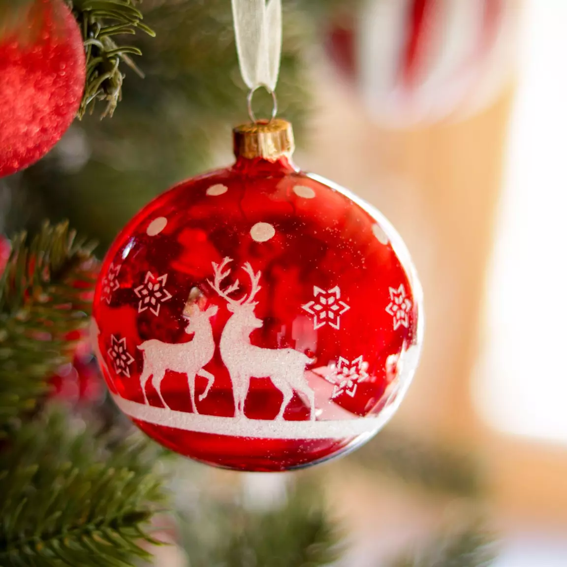 Lot de 6 boules de Noël en verre (D80 mm) Rudolf Rouge