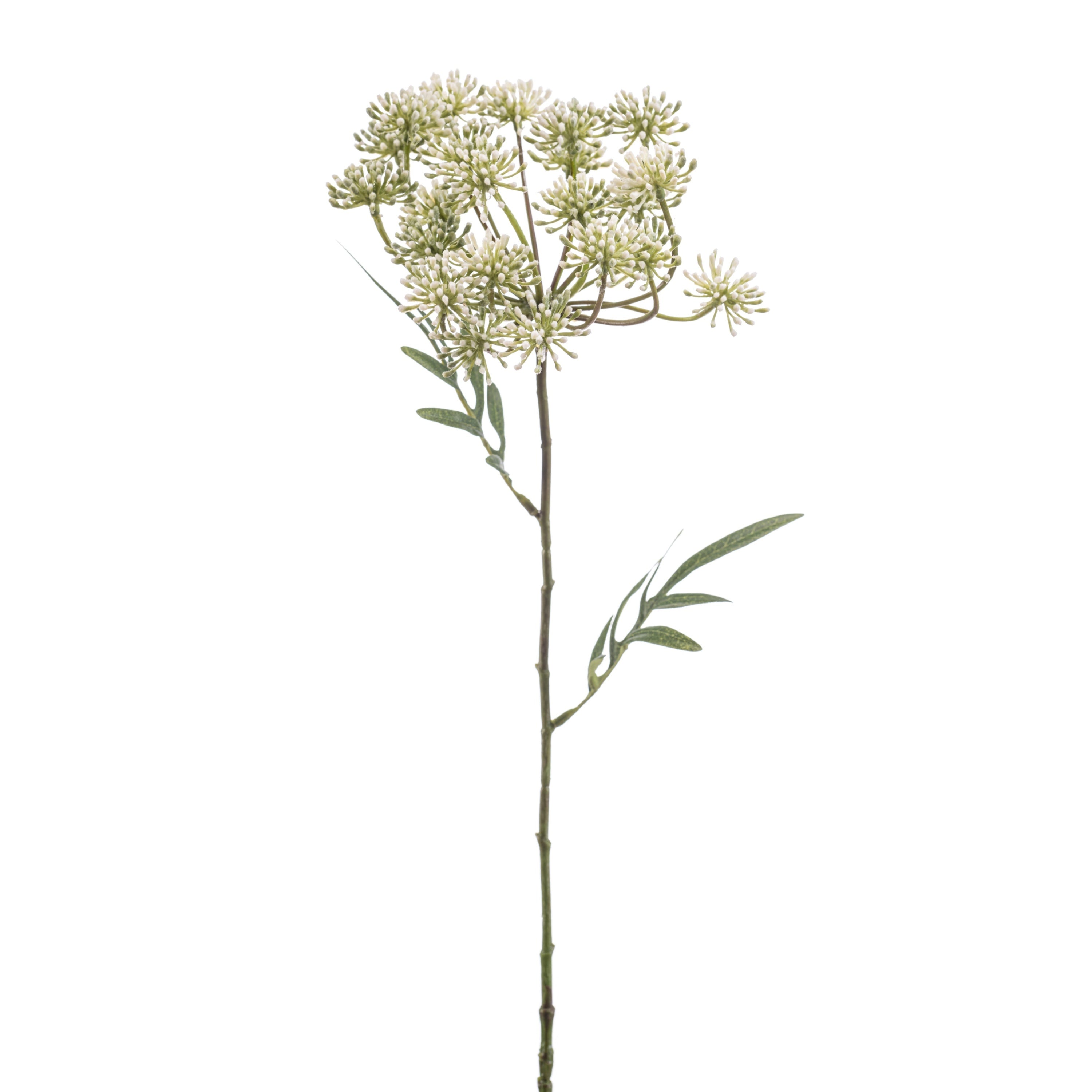 Fleurdirect Kunstbloem Dill  -  - 0x76x0cm (BxHxD)