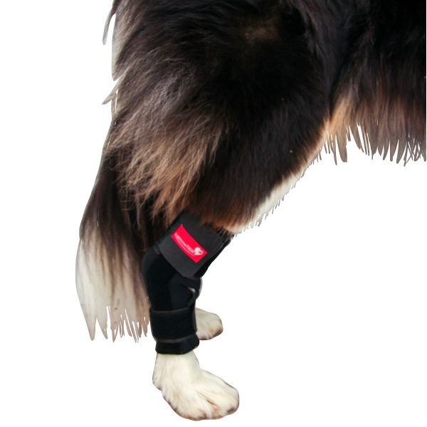 Sprunggelenkbandage Neopren 135° bei Hyperflexion, -extension, Arthrose. Mit Schienen