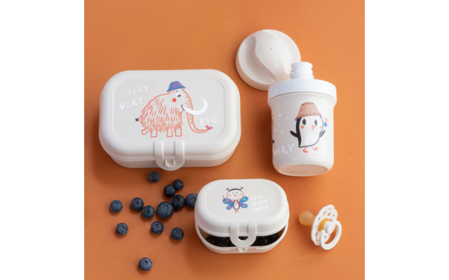 Koziol Trinkflasche und Lunchboxset 3-teilig