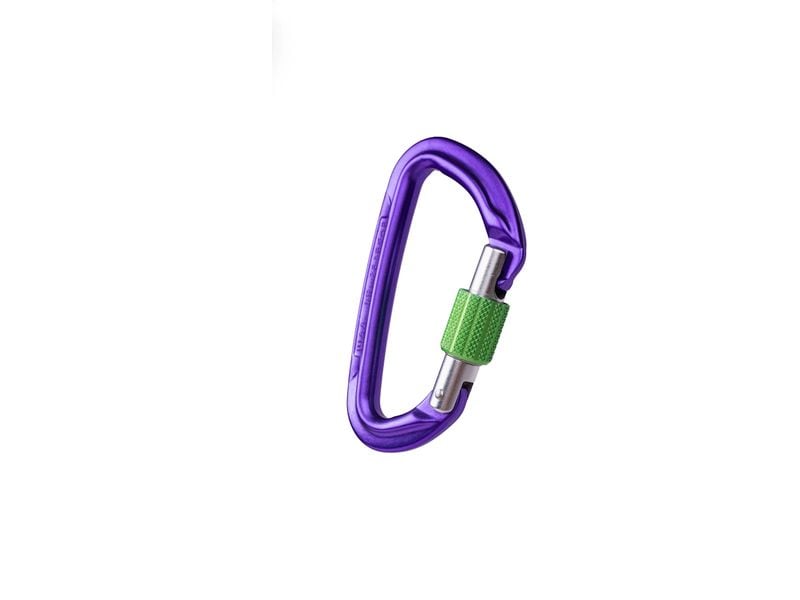 Wild Country Carabiner Session Screw Gate Lila Karabiner mit Schraubverschluss