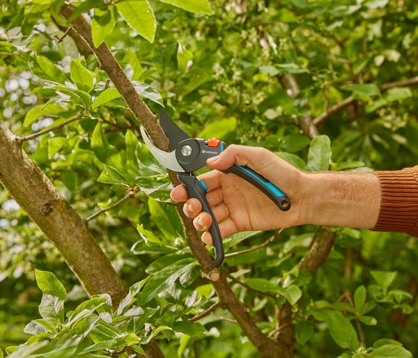 GARDENA Gartenschere PremiumCut Pro Frisches