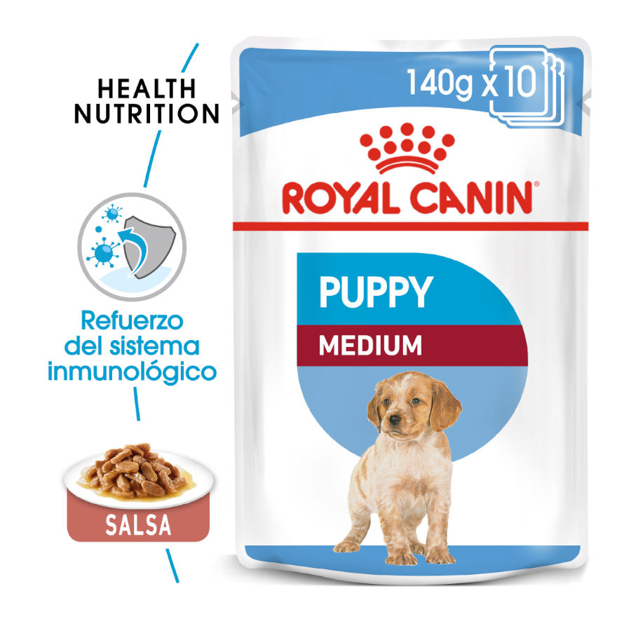 Envelopes Royal Canin para Filhotes de Porte Médio