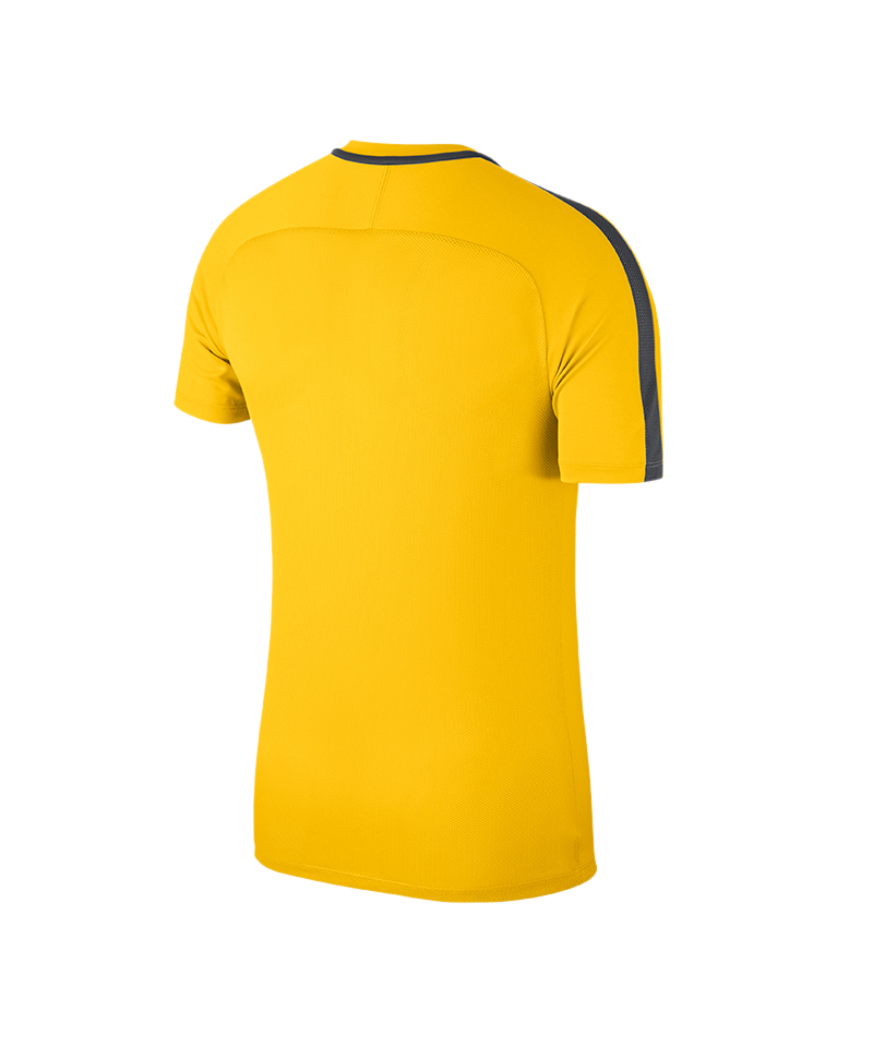 Nike Academy 18 T-Shirt Gelb F719