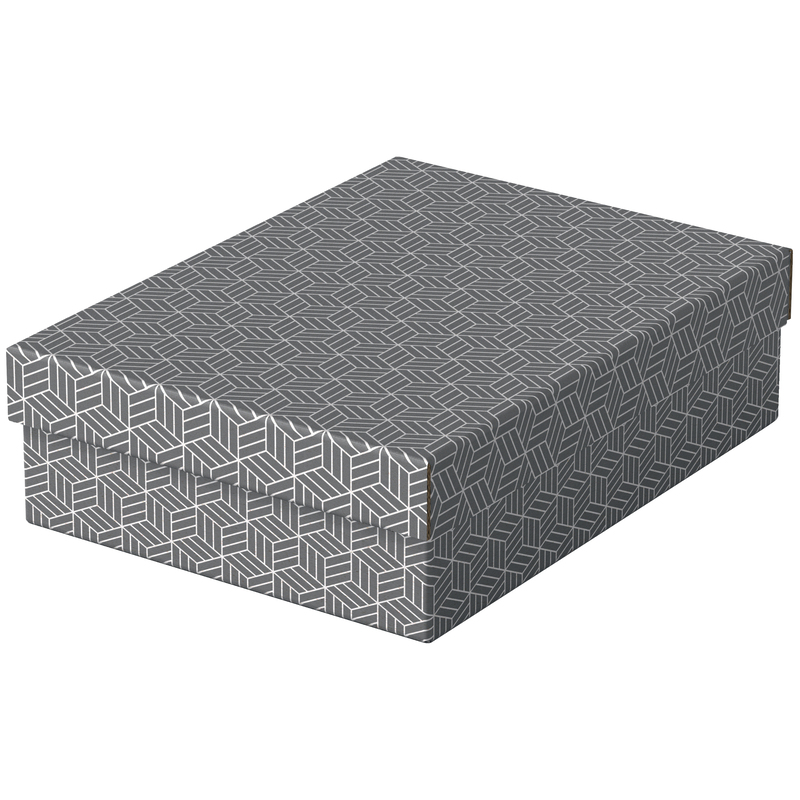 Esselte Aufbewahrungsbox Home, flach, 3 Stück, 7 l, grau