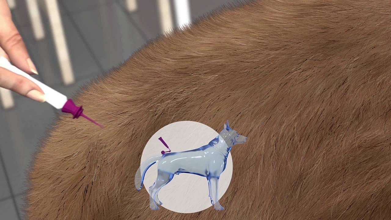 Vectra 3D Hond | S 4-10 kg 3 pip. | 11514