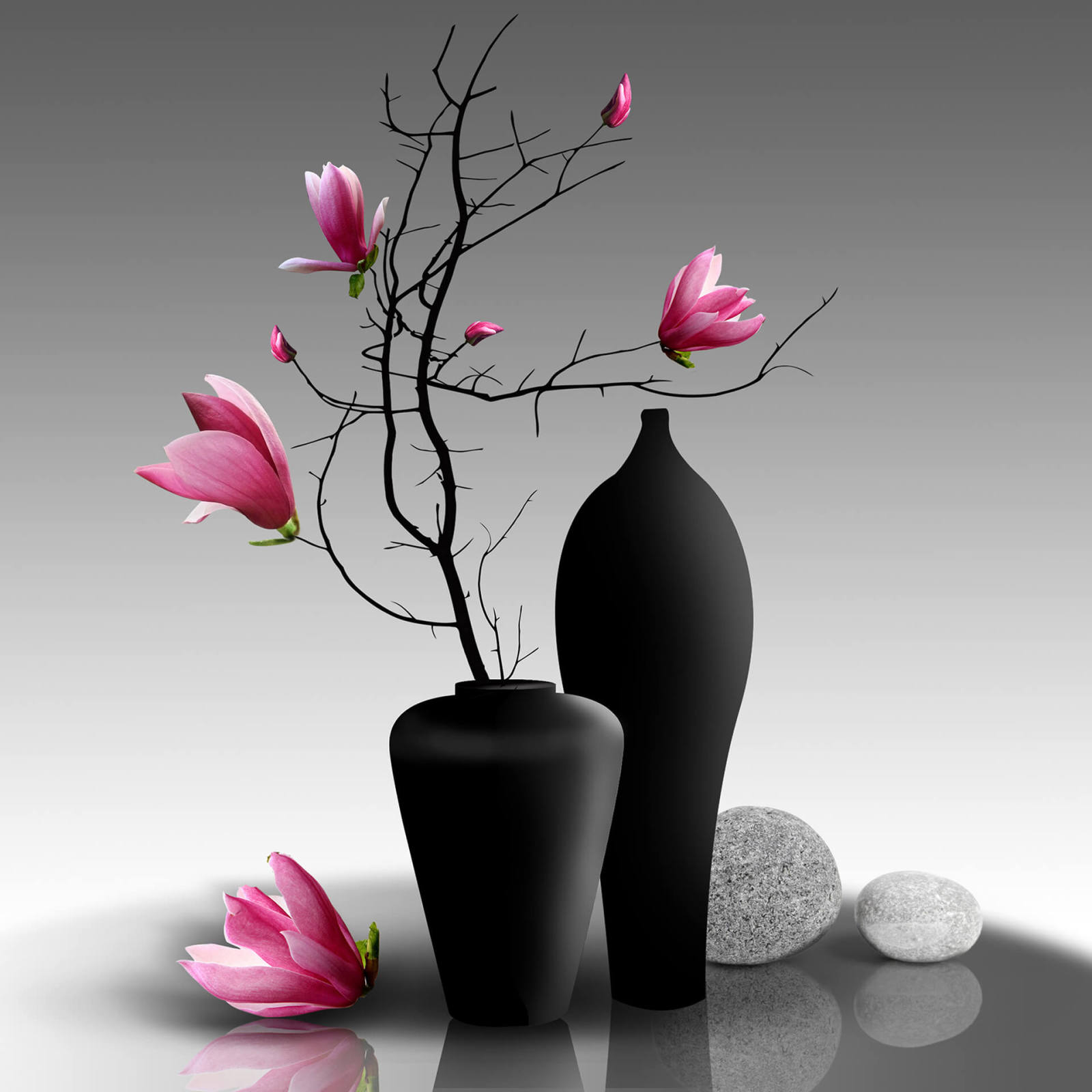 Leinwandbild MAGNOLIENZWEIG - pink-grau - 50x50 cm