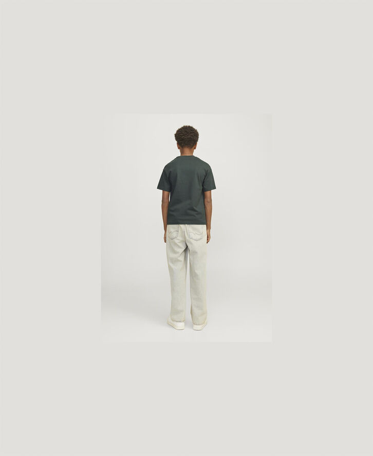 Jack & Jones JORVESTERBRO PICTURE TEE SS CREW JN Forest river/aw24