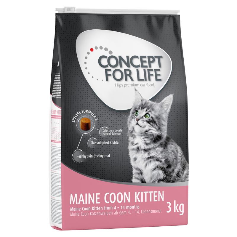 Concept for Life Maine Coon Kitten pour chaton