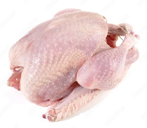 Freiländer BIO Freiland Weihnachtspute