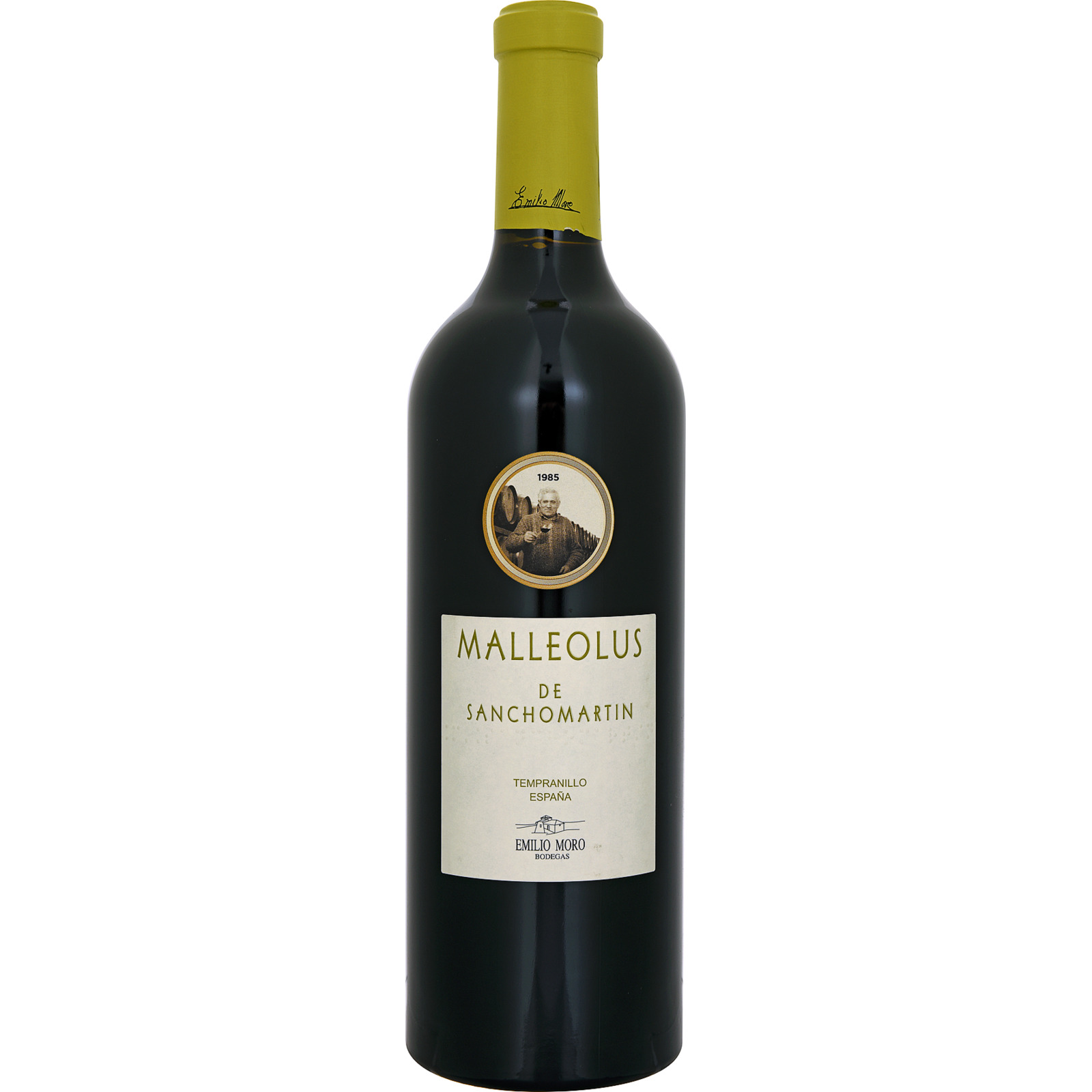 Malleolus de Sanchomartin
