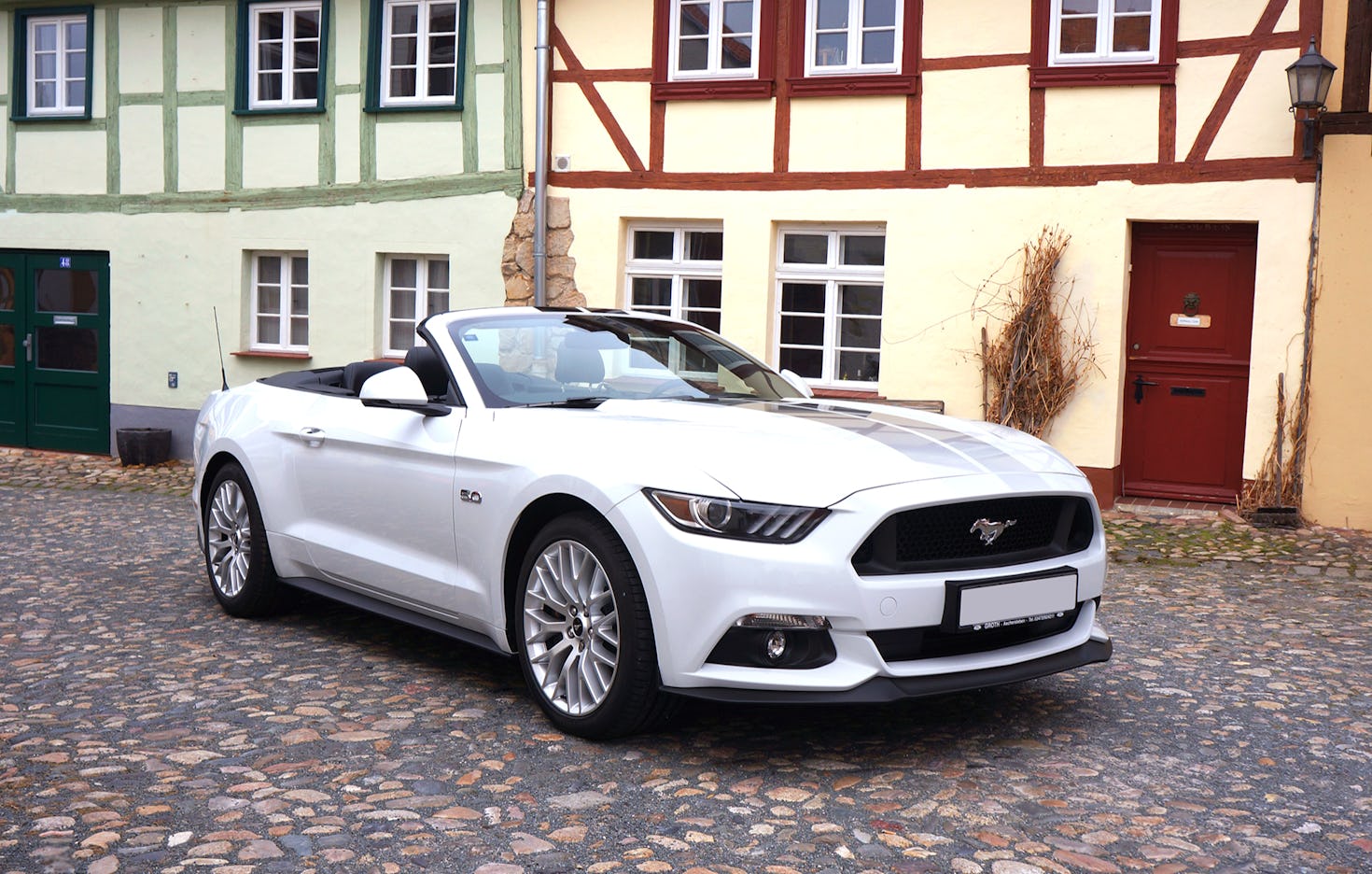 Mustang fahren Thale