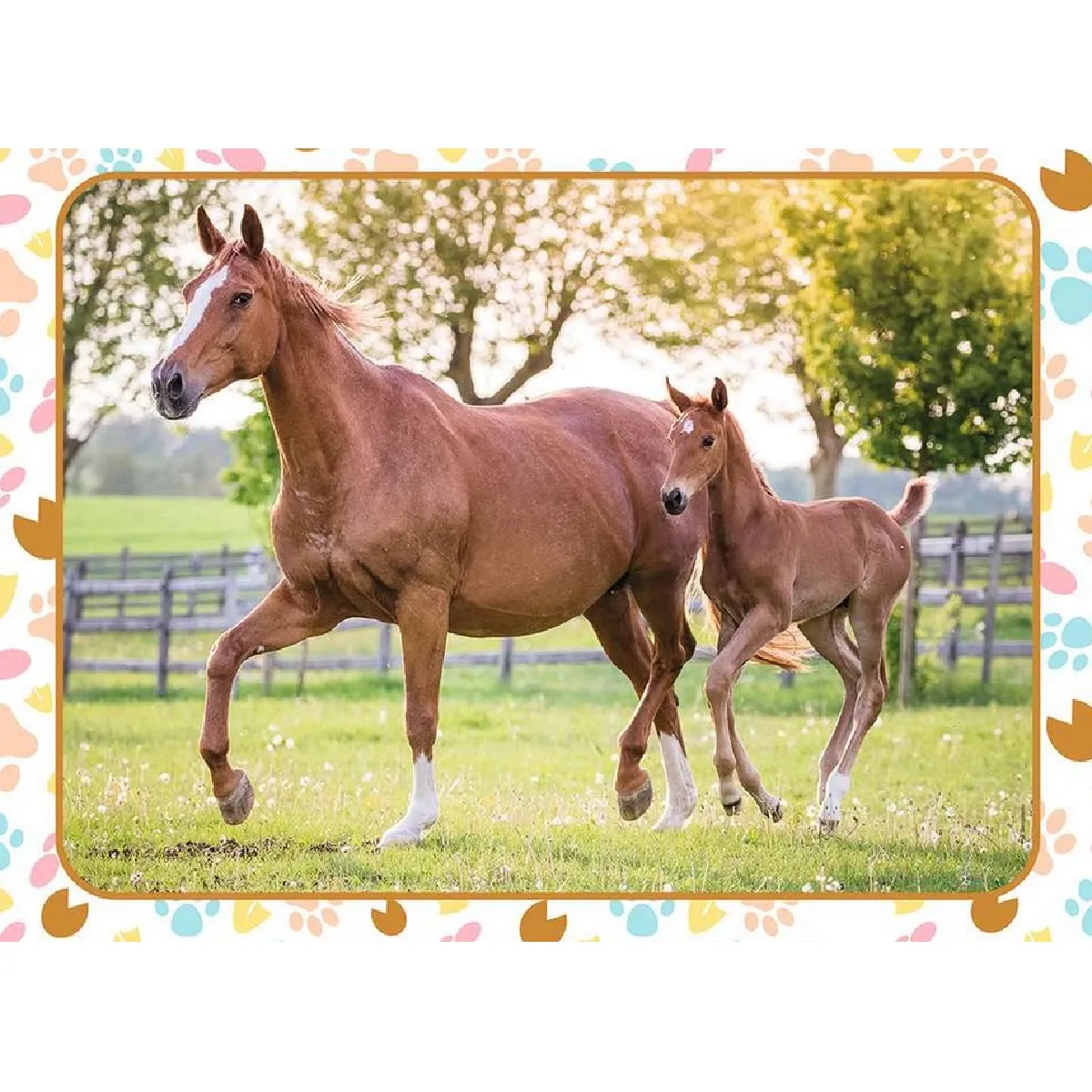 Nathan Maman et bébé cheval