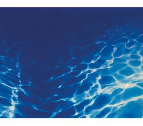 Hobby® Aquarium Rückwand Pflanzen 8/Marine