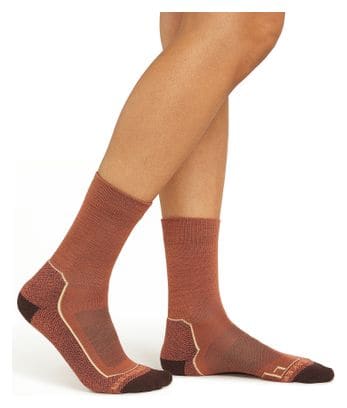 Chaussettes Femme Icebreaker Merino Hike  Marron