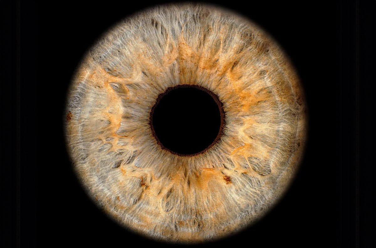 Iris Fotoshooting Luzern