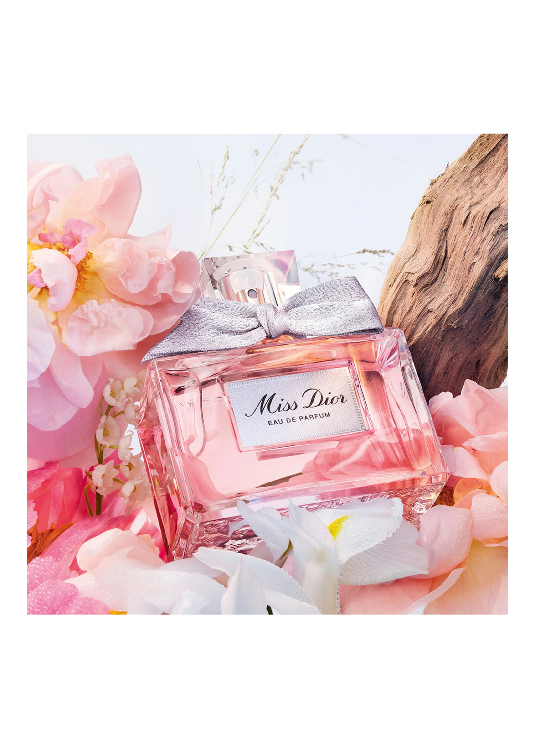 DIOR MISS DIOR