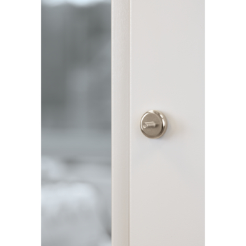 Magneet Neodymium met schroefdraad en boutje zilver 20mm