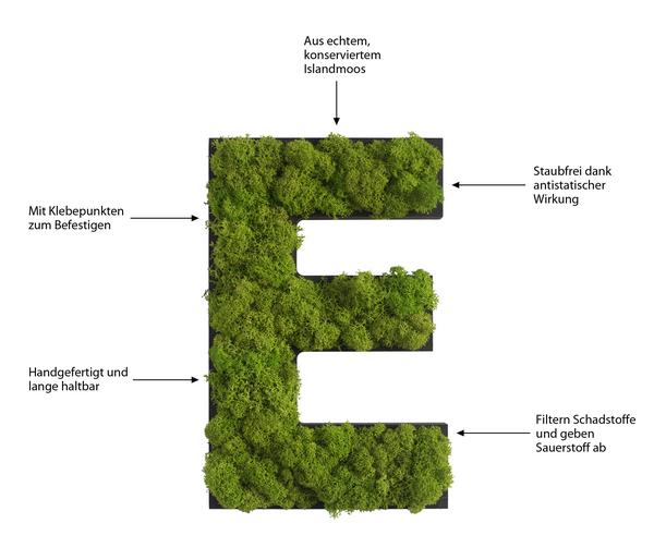 styleGREEN Buchstaben aus Islandmoos, ca. H25