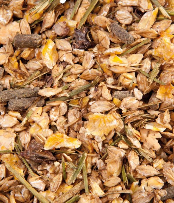 Eggersmann Pferdefutter EMH Senior-Müsli, 20