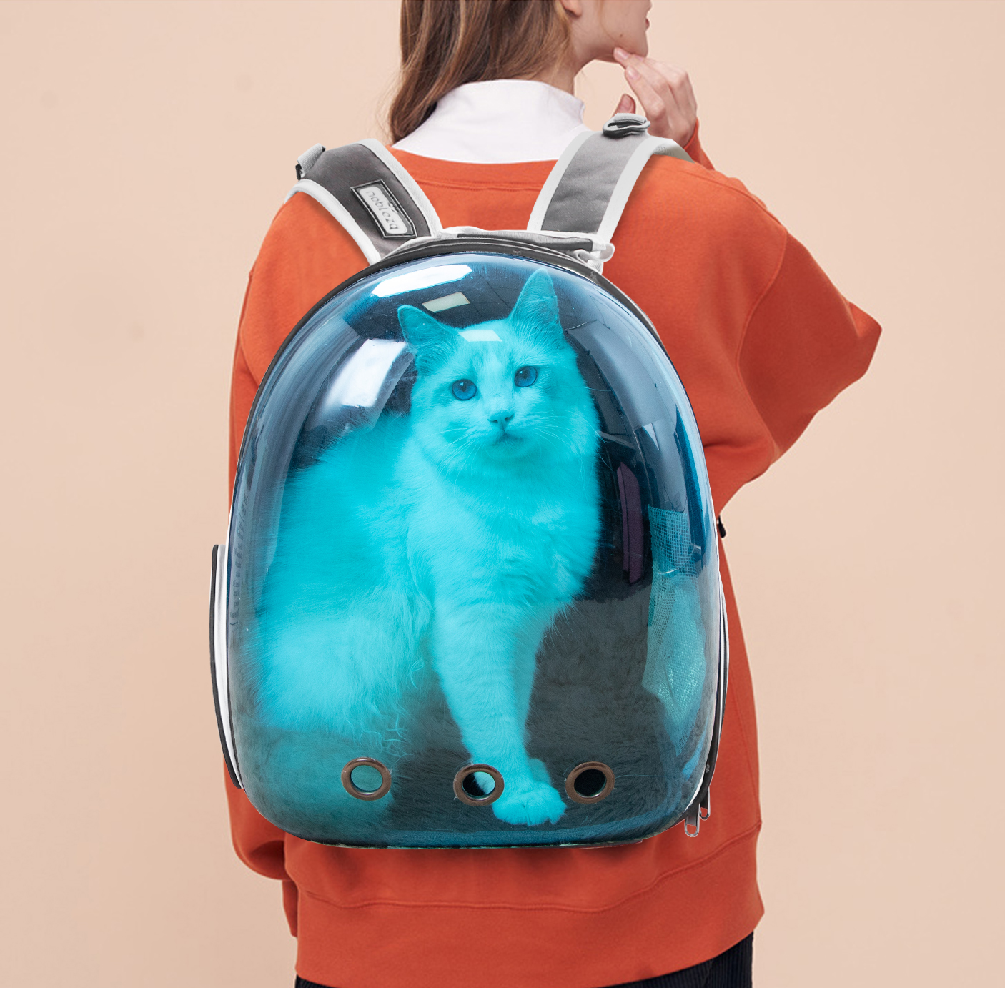 Mochila Nobleza para Cães, Mochila Transparente para Gatos, Mochila Expansível Aprovada para Viagens Aéreas para Cães de Pequeno Porte, Ideal para Passeios, Caminhadas ou Camping