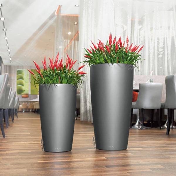 LECHUZA® RONDO, All-in-One-Set