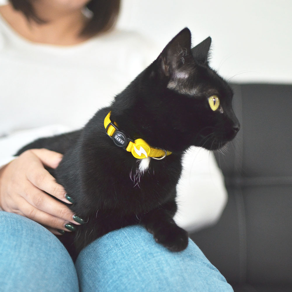 Coleira amarela de náilon para gatos