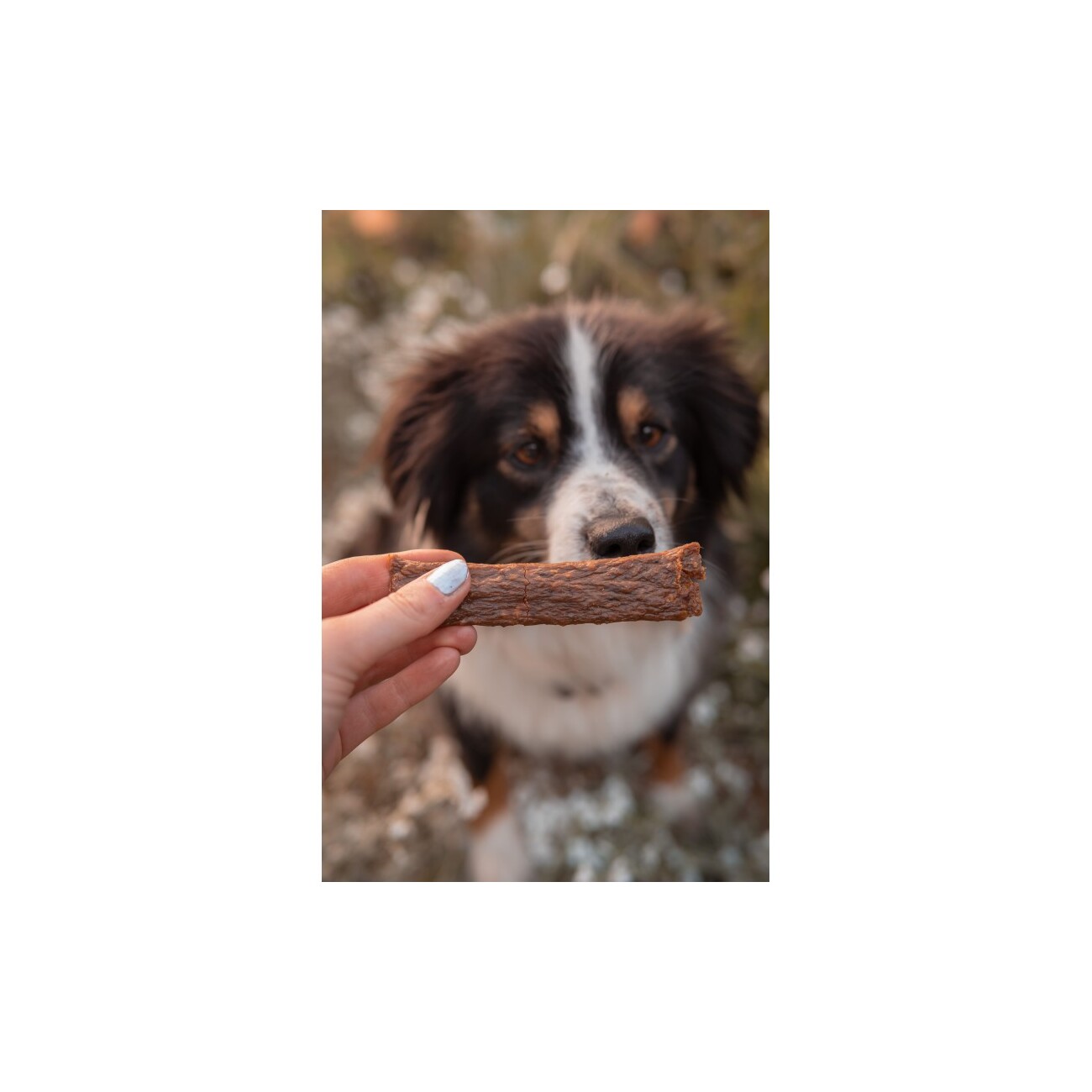 Bellfor Hundesnack - Fleischstreifen Lamm - 100g